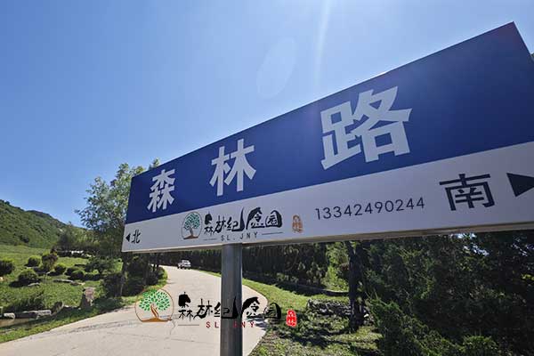 沈阳树葬陵园：绿意盎然，生命轮回的和谐家园