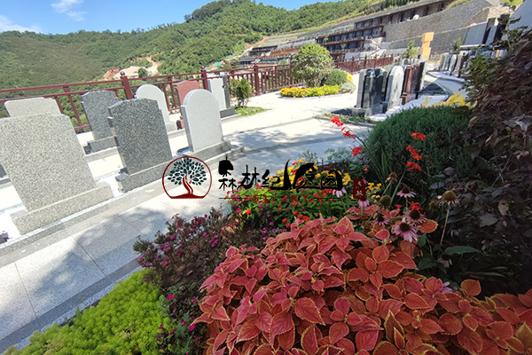 沈阳墓地扫墓时间安排与注意事项！