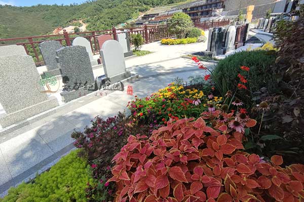 绿色葬礼：铁岭森林墓园的人文生态探索